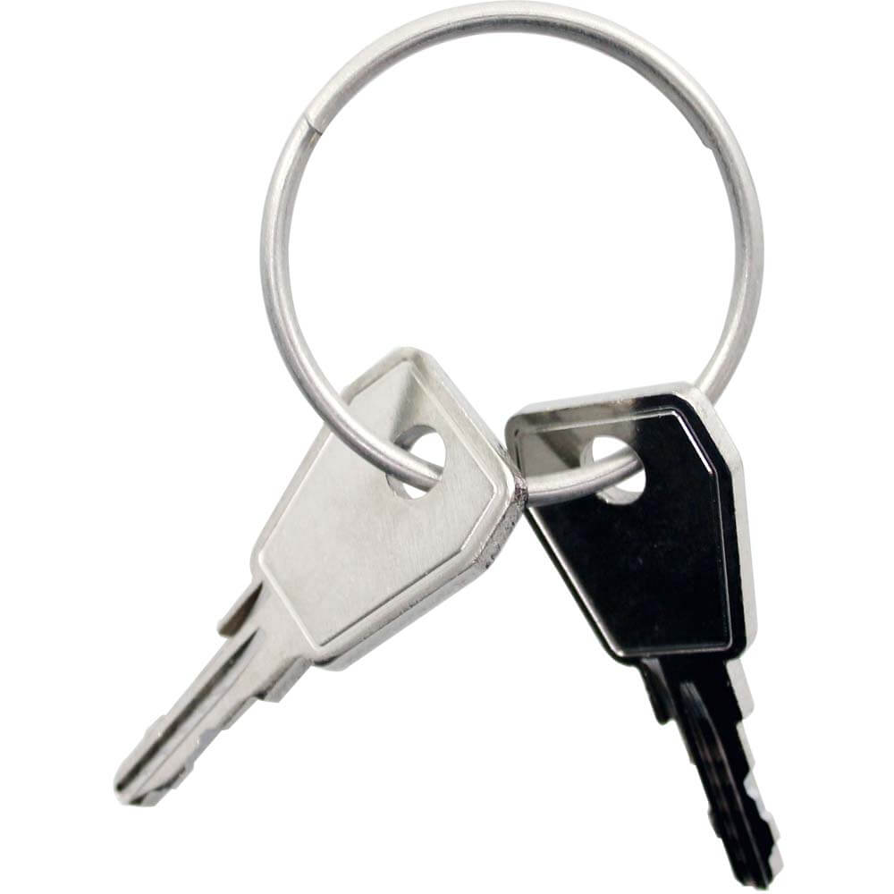 Thule yepp key nexxt p0 2 pezzi