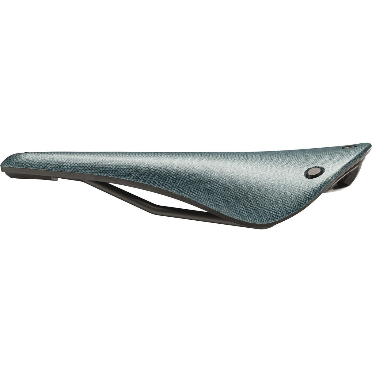 Brooks Suedel C17 Cambium all Wetter Octane