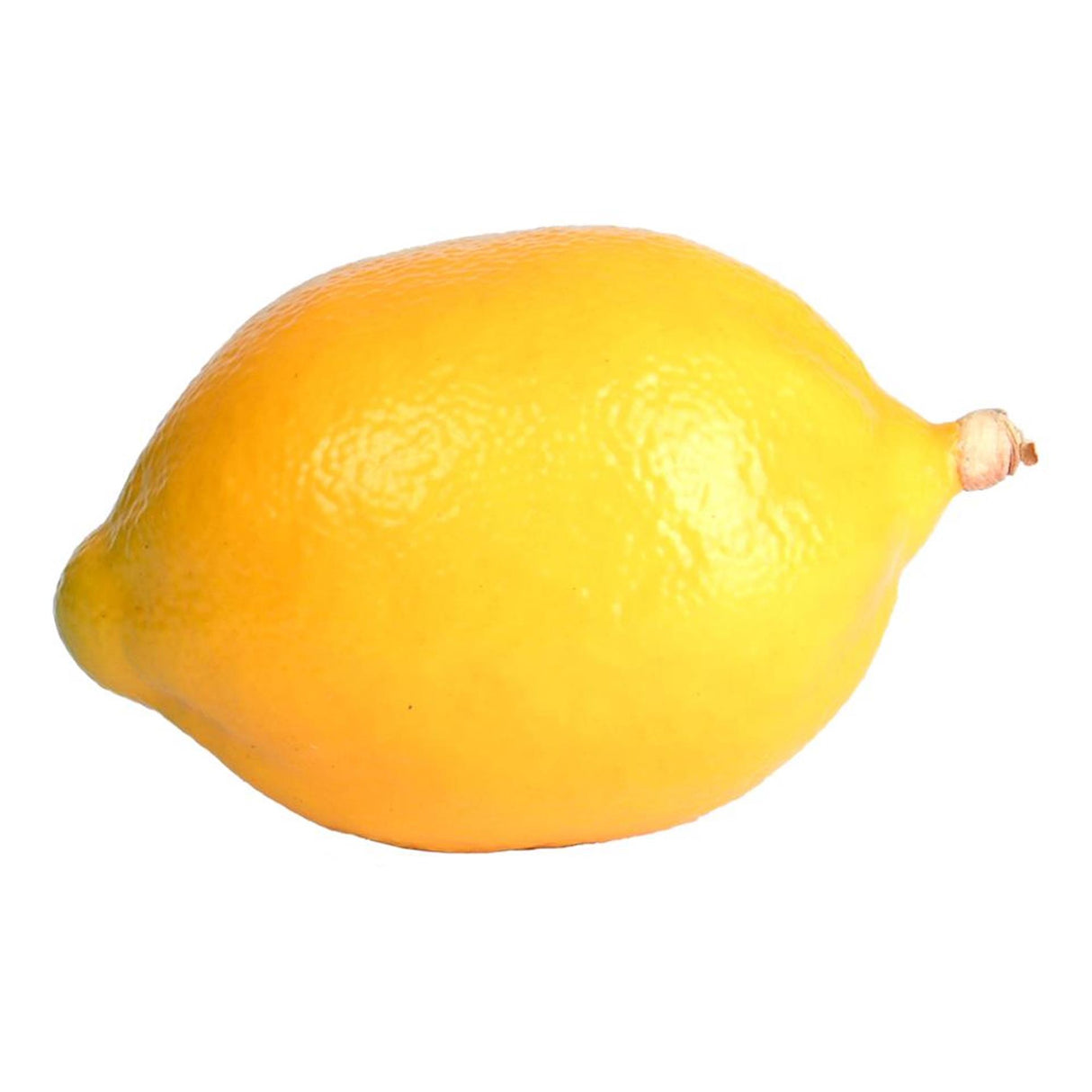 Esschert design lemon plastic 9.9cm