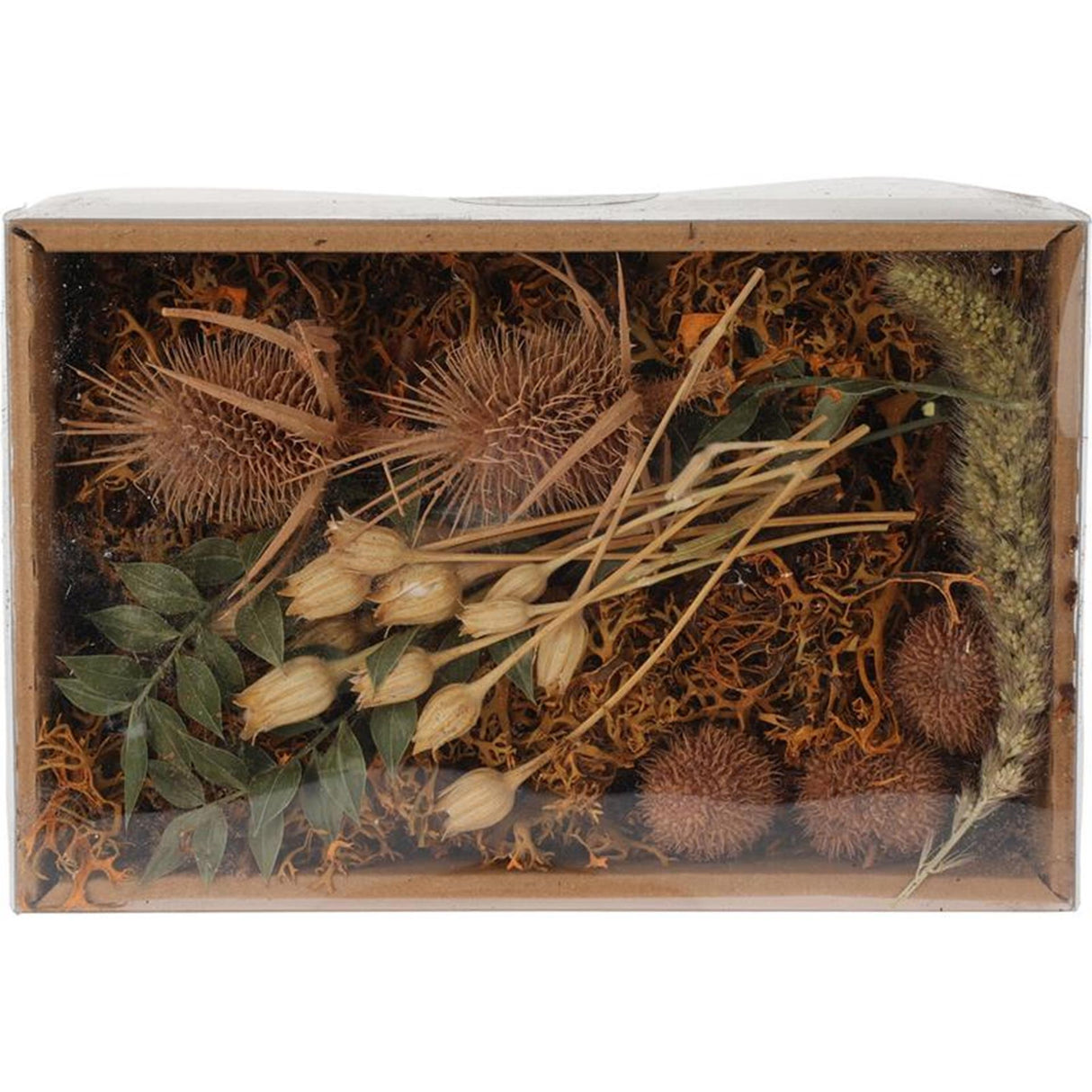 Home styling dried flower mix in box nature
