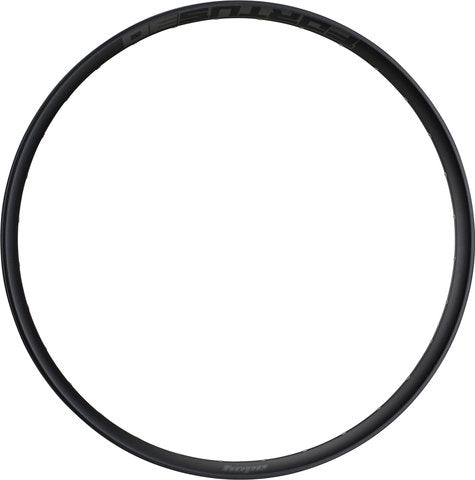 Hoop rim