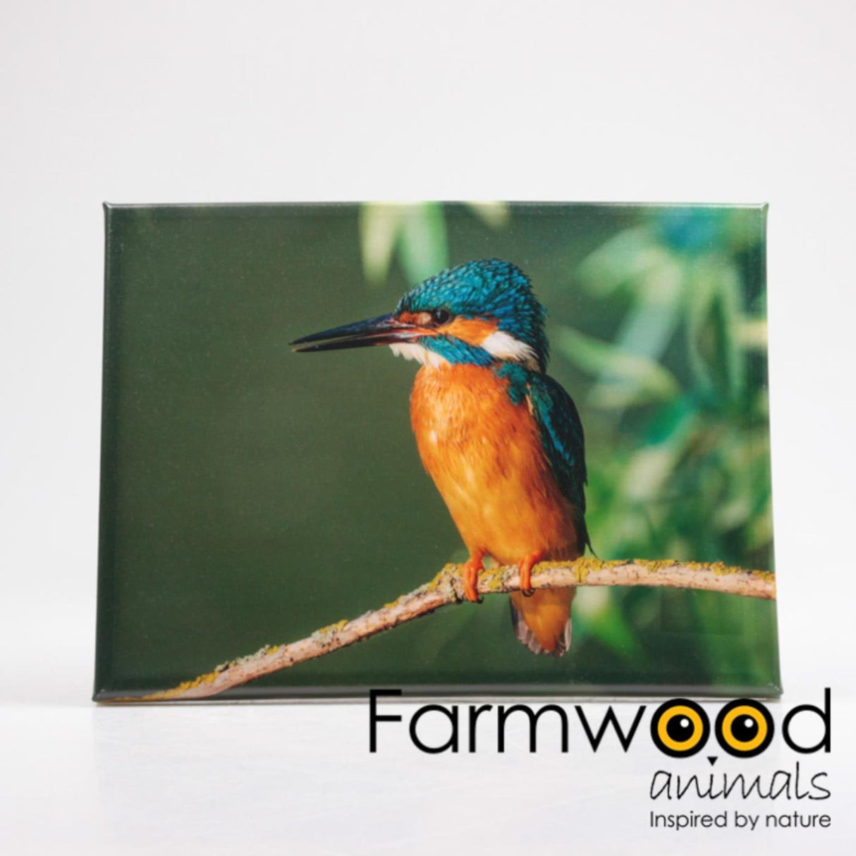 Farmwood animals outdoor painting kingfisher 30x40cm