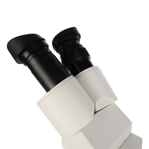 Microscope stéréo byomic byo-st3led