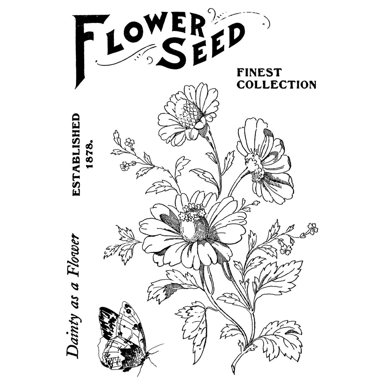 Creative expressions • clear stamp set flower seed