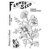 Creative expressions • clear stamp set flower seed