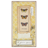 Creative Expressions • Clear stamp set dates back