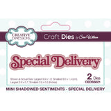 Creative expressions • cutting die mini shadowed sentiments special delivery