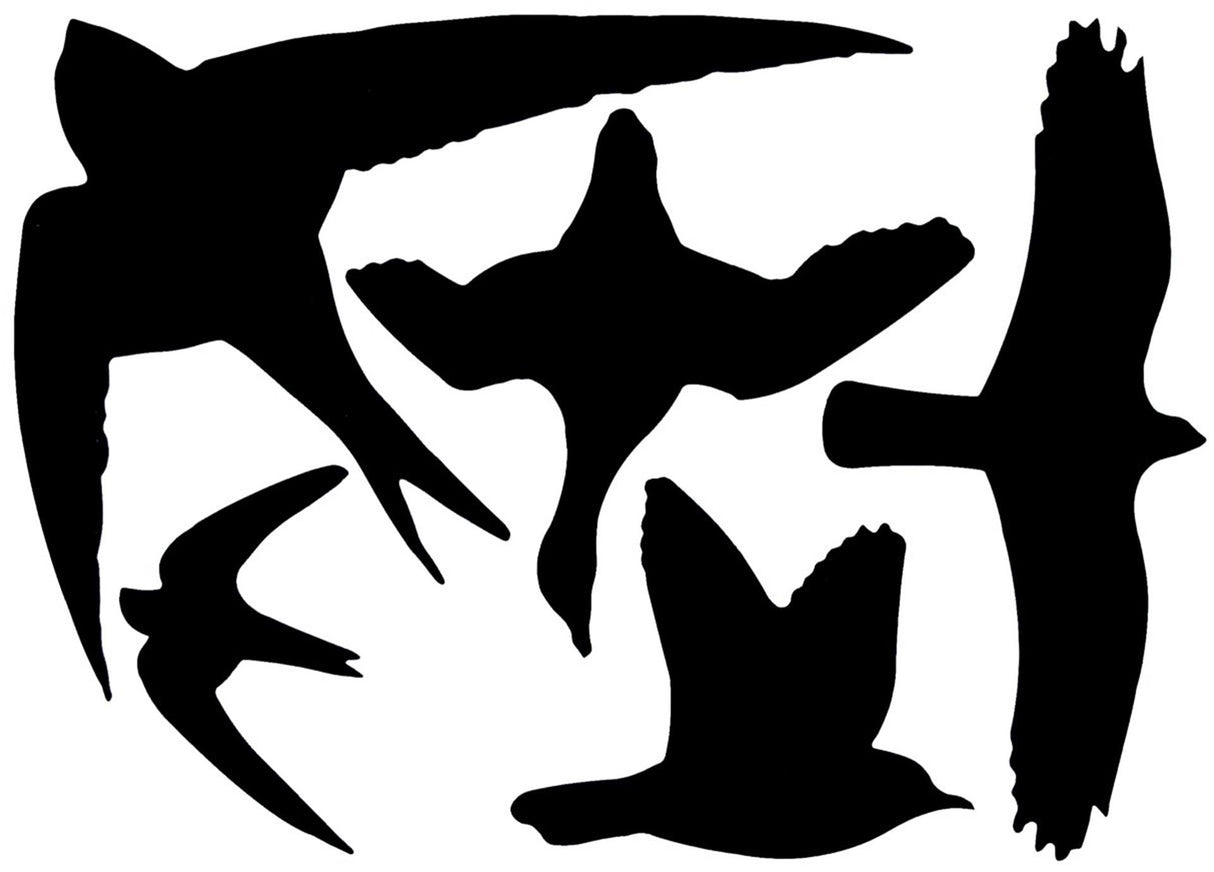Esschert design window stickers birds