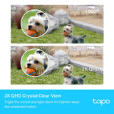 TP-Link Tapo C420s1