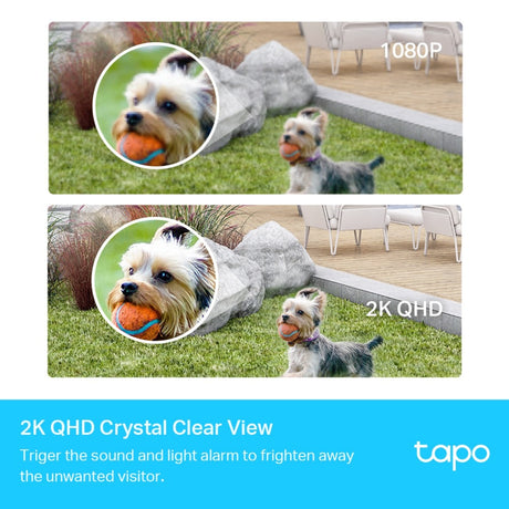 Tp-Link Tapo C420S1 Sicherheitskamera (weiß, 2K QHD, IP65)