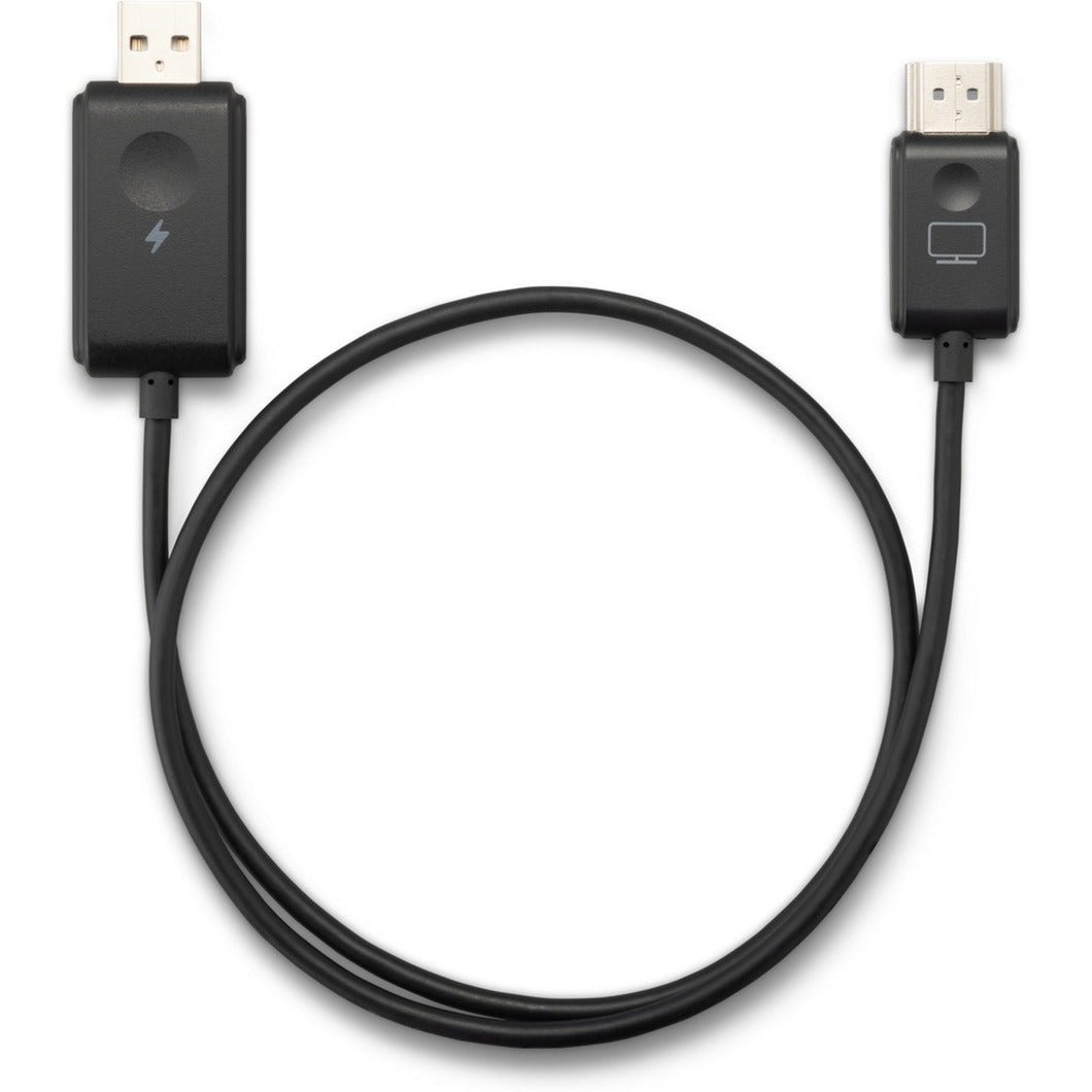 ViewSonic ViewShare WPD-900 Wireless Screen Cast Kit Streaming Client (Black, USB-C)