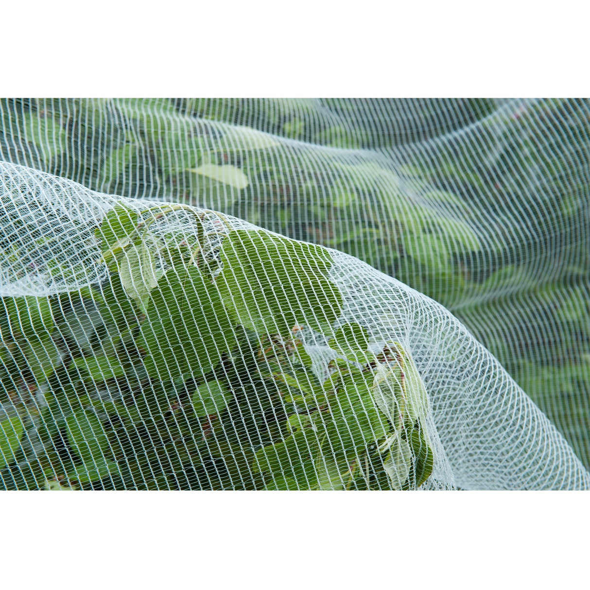 Nature insect screen, fine-mesh insect net (white transparent, 5.2 x 5 m)