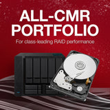 Seagate ironwolf pro 20 TB Festplack (ST20000NT001, SATA 600, 24 7)