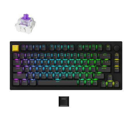 Lemokey P1 HE-M1 Wireless Magnetic Switch Custom Gaming Keyboard (Black, US Layout (QWERTY), Gateron Double-Rail Magnetic Nebula, 75%, RGB LEDs, Double-Shot PBT, Hot-Swap, 2.4 | Bluetooth | USB-C, Knob)