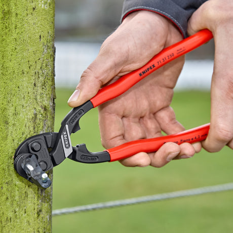 Knipex cobolt XL 7131250 bolt cutter (red)