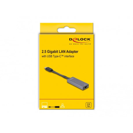 Delock USB-C > 2,5 Gigabit LAN Slim tinklo adapteris (pilkas)