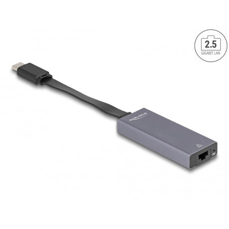Delock USB-C > 2,5 Gigabit LAN Slim tinklo adapteris (pilkas)