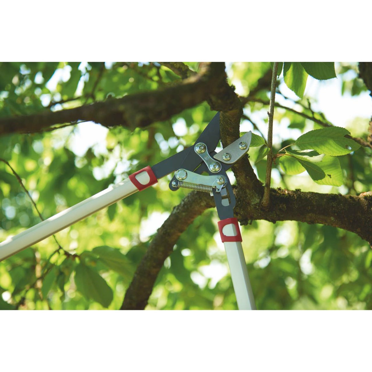 Wolf-Garten Power Cut RS 800 V Anvil Lopper (Red Silver)