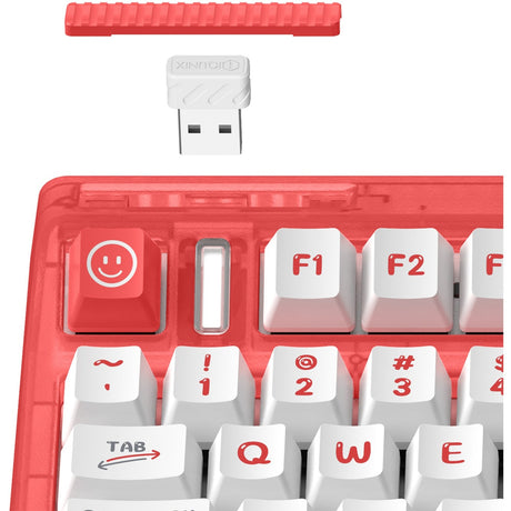 Iqunix OG80 Joy Vendor Wireless Mechanical Keyboard, Gaming Keyboard (Gray White, US Layout, Cherry MX Brown, RGB LEDs, 80% (TKL), Hot-swappable, PBT, 2.4GHz | Bluetooth 5.1 | USB-C)