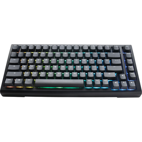Ducky ProjectD Tinker 75 with QMK VIA, keyboard (black and white, US layout, Cherry MX Blue, RGB LED, double-shot PBT, hot-swappable, gasket mount, 75%)