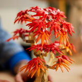 Lego botanicals 10348 Japán juhar bonsai fa