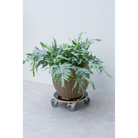 Nature plant trolley round castor board (black)