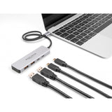 Delock USB 10 Gbps USB-C hub (grey, 2x USB-A 3.2 (10 Gbit/s), 2x USB-C 3.2 (10 Gbit/s))