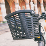 Bicycle basket Plaza for e-bike