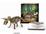 Aro carving out dinosaur skeleton triceratops 23cm
