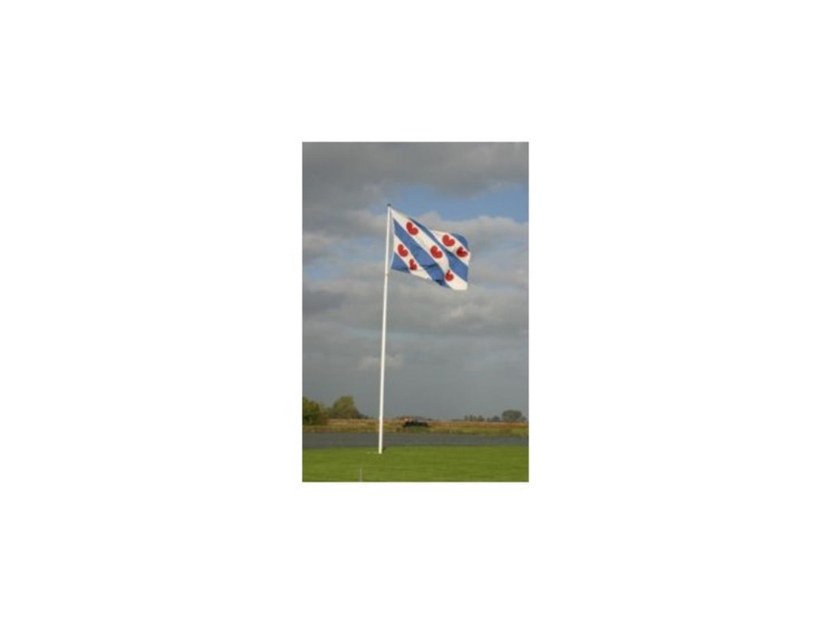Dokkumer flags central flag Friesland 20x30 cm