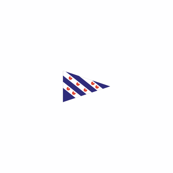 Dokkumer flags central point flag Friesland 40x60 cm