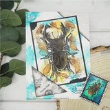 Woodware • clear singles stag beetle