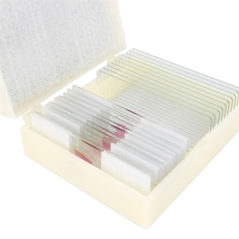 Konus Preparaten Set Bacterie�n, Simpele Organismen (10 Stuks)