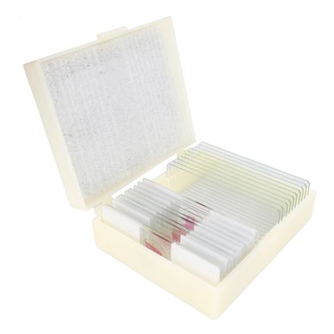 Konus Preparations Set Biology Education 2 (10 pieces)