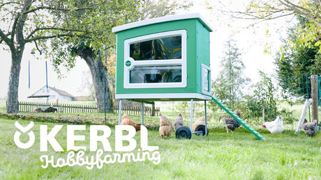 Abi mobilecoop Plastik Poulet Coop