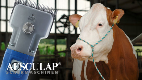 Aesculap Econom Products Livestock Shearer Econom Cordless Plus 2 Batteries 1