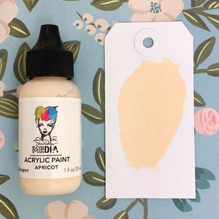 Ranger Tënt Ranger • Dina Wakley Medien schwéier Kierper acrylic molen Aprikos