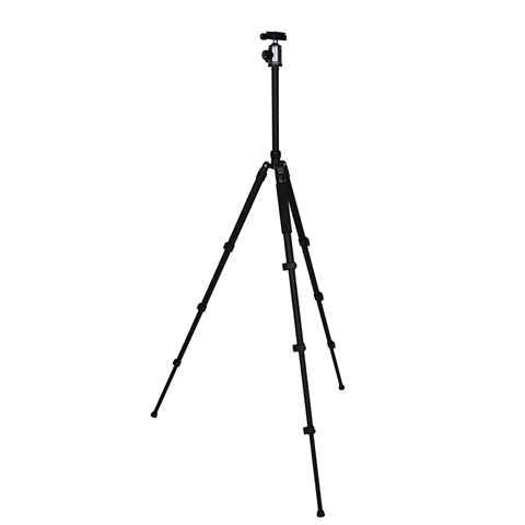 NEST TRIPOD WF-6627 + CHEAUX DE BALL