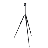 NEST TRIPOD WF-6627 + CHEAUX DE BALL