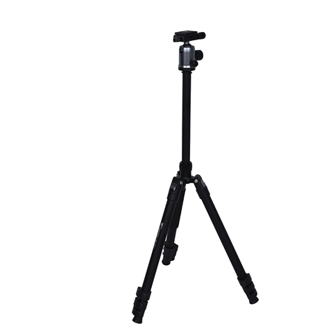 NEST TRIPOD WF-6627 + CHEAUX DE BALL