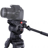 Nascht Video tripod nt-670 + flësseg-ofgezeechent Kapp