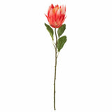 J-line artificial protea red 68 cm | 6 pieces