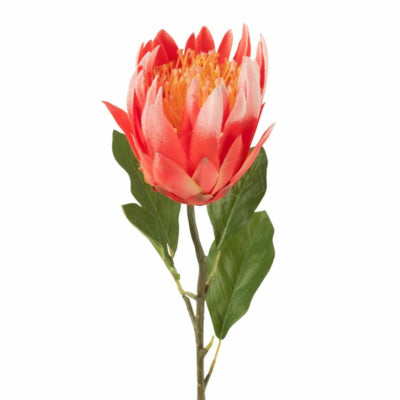 J-line artificial protea red 68 cm | 6 pieces