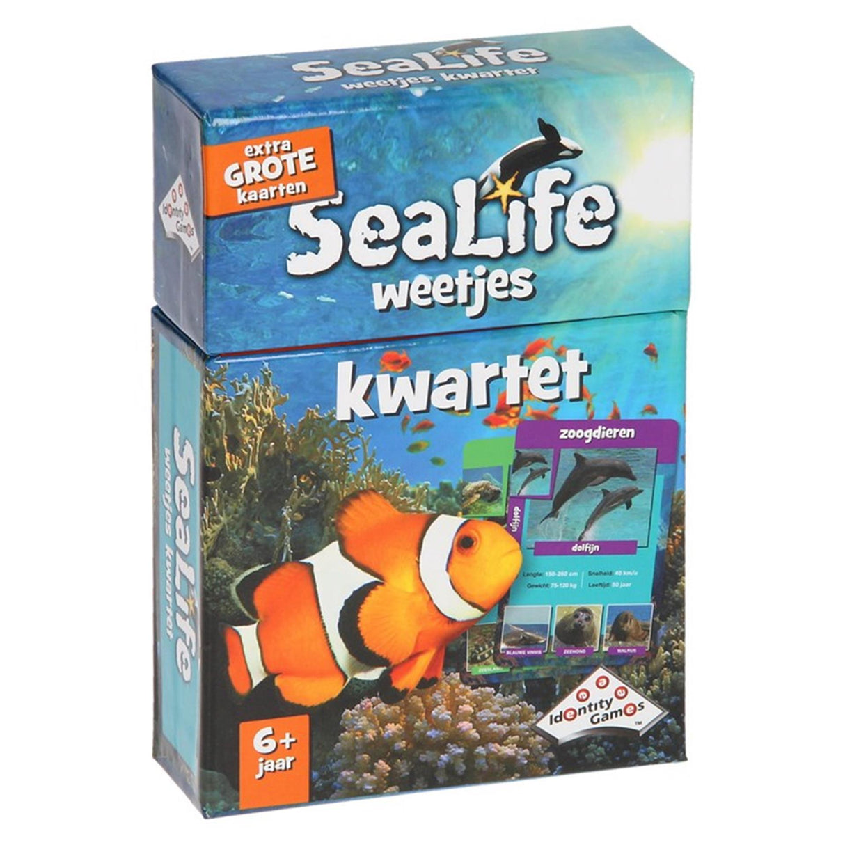 Boosterbox sealife facts quartet - card game