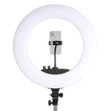 Ensemble de lampe à lèvres à LED studioking 48W LR-480