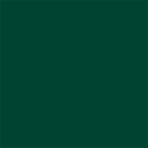 Papier de fond supérieur 12 Green profond 1,35 x 11m