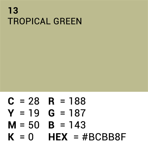 Superior background paper 13 Tropical Green 1.35 x 11m