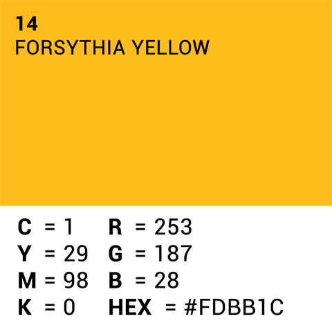 Documento de fondo superior 14 Forsythia Yellow 1.35 x 11m