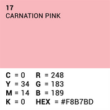 Vorgesetzter Hintergrundpapier 17 Carnation Pink 1,35 x 11m