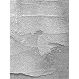 Ranger Tënt Ranger • Nout Grit Paste translucent